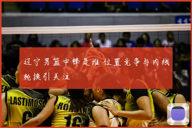 辽宁男篮中锋是谁 位置竞争与内线轮换引关注