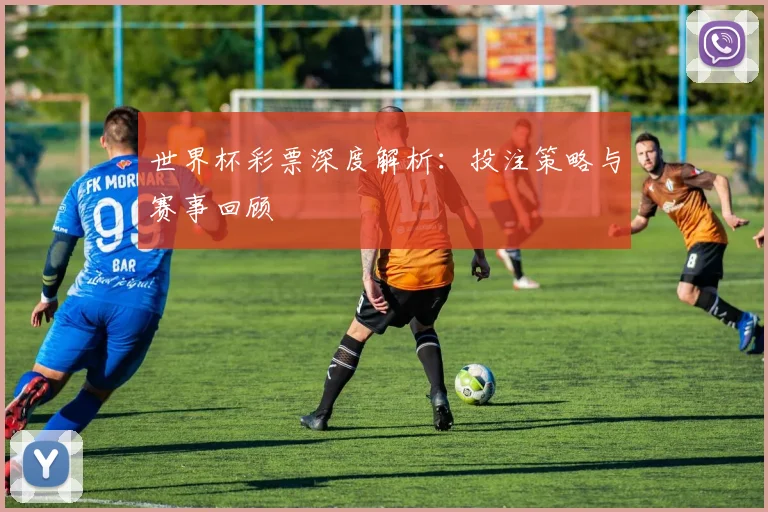 世界杯彩票深度解析：投注策略与赛事回顾