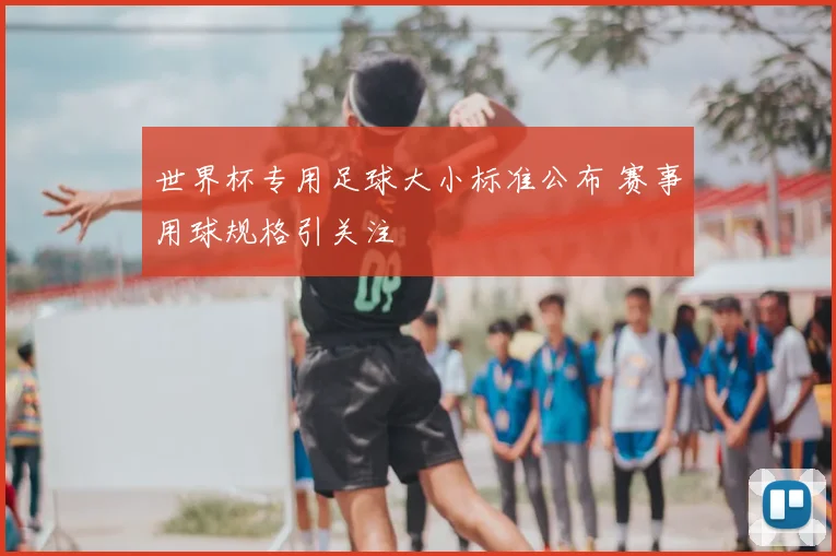 世界杯专用足球大小标准公布 赛事用球规格引关注