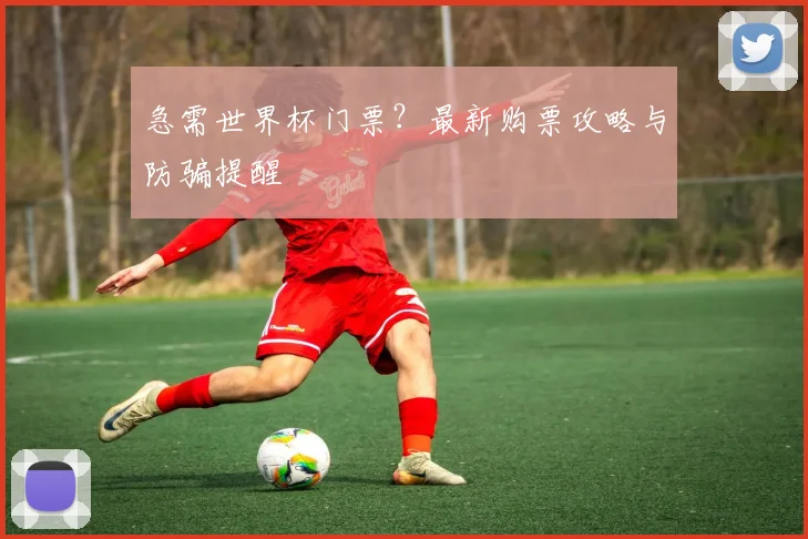 急需世界杯门票？最新购票攻略与防骗提醒