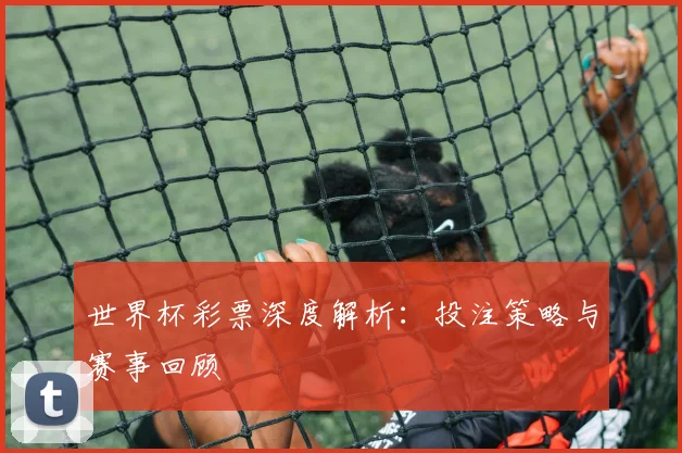 世界杯彩票深度解析:投注策略与赛事回顾