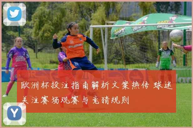欧洲杯投注指南解析文案热传 球迷关注赛场观赛与竞猜规则