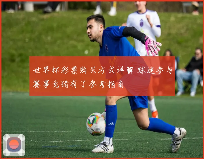 世界杯彩票购买方式详解 球迷参与赛事竞猜有了参考指南